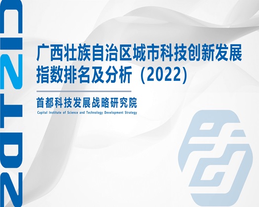 肥胖的女人被操B【成果发布】广西壮族自治区城市科技创新发展指数排名及分析（2022）